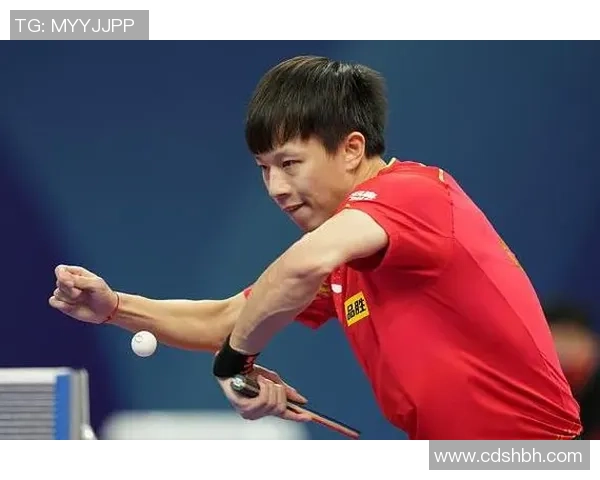 杭州乒乓球队技术争议引发热议球迷与专家各执己见探讨发展方向